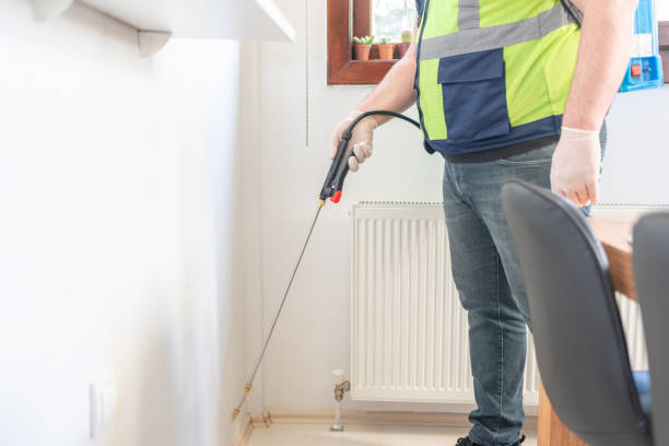 Best Local Pest Control Services  in Rio Rancho Estates, NM