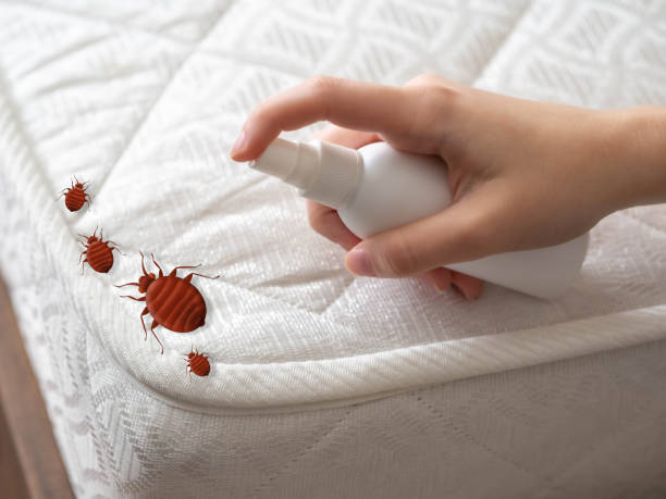 Pest Control Cost in Rio Rancho Estates, NM